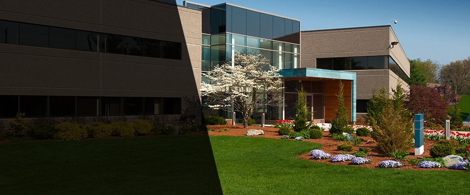 Novato Landscapers