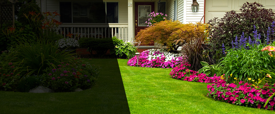 Novato Landscapers
