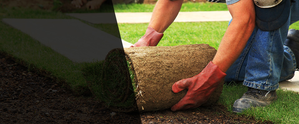 Novato Landscapers